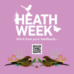 Pretty pink poster asking for Heath Week feedback, with QR code to scan