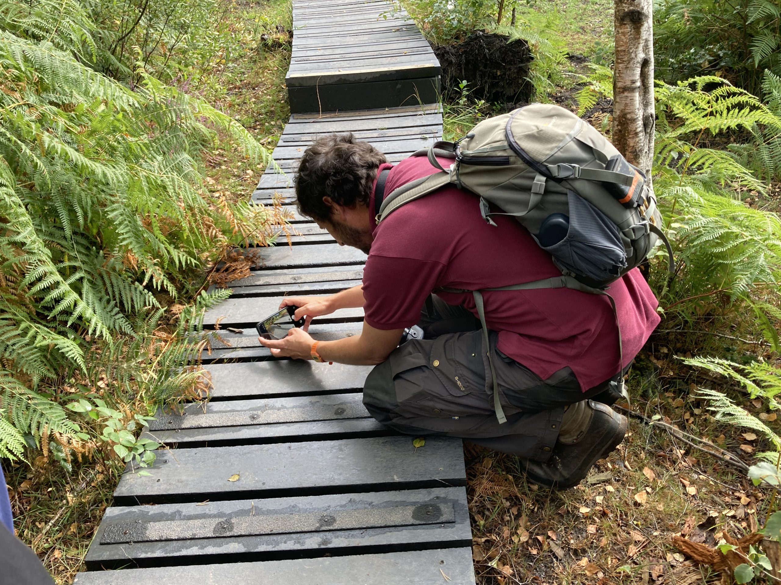 Photo of Education Officer Michael taking a photo of a common lizard on a boardwalk in a heathland setting