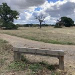 Photo of a grassland with surfaced path running through and wooden bench