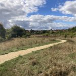 Photo of an open grassland with surfaced path running through it