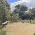 Photo of a surfaced path with 2 wooden benches and mature trees behind