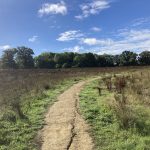 Photo of an open grassland with a natural path running through it