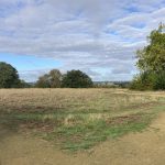 Photo of an open grassland with a natural path cutting through it
