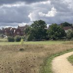 Photo of an open grassland with surfaced path and houses in the background