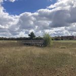Photo of a grassland and dried up pond with wooden boardwalk