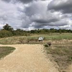 Photo of a grassland with surfaced path running through and interpretation panel