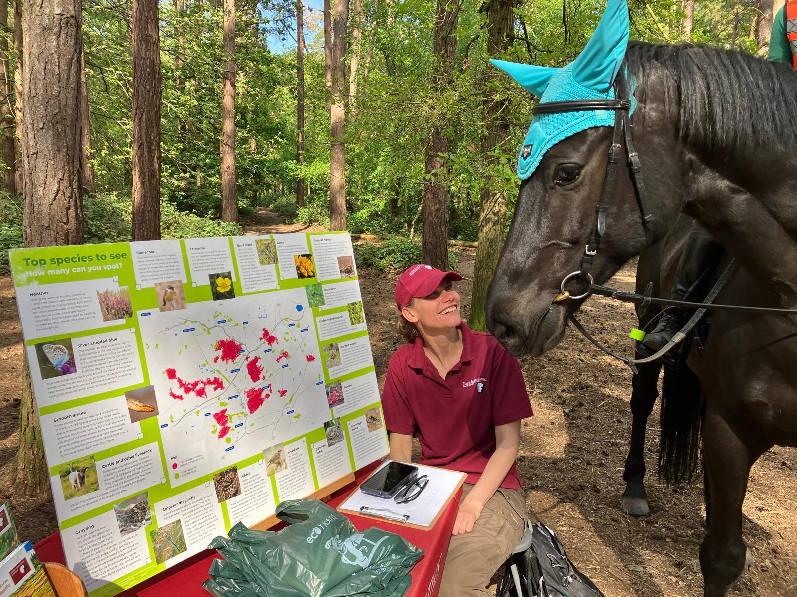 Photo of seasonal warden Hannah at a heathland pop-up with a black horse visiting the display