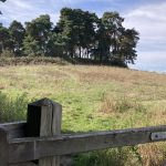 Photo of a view of an open grassland at the base of a wooded knoll from a wooden gate