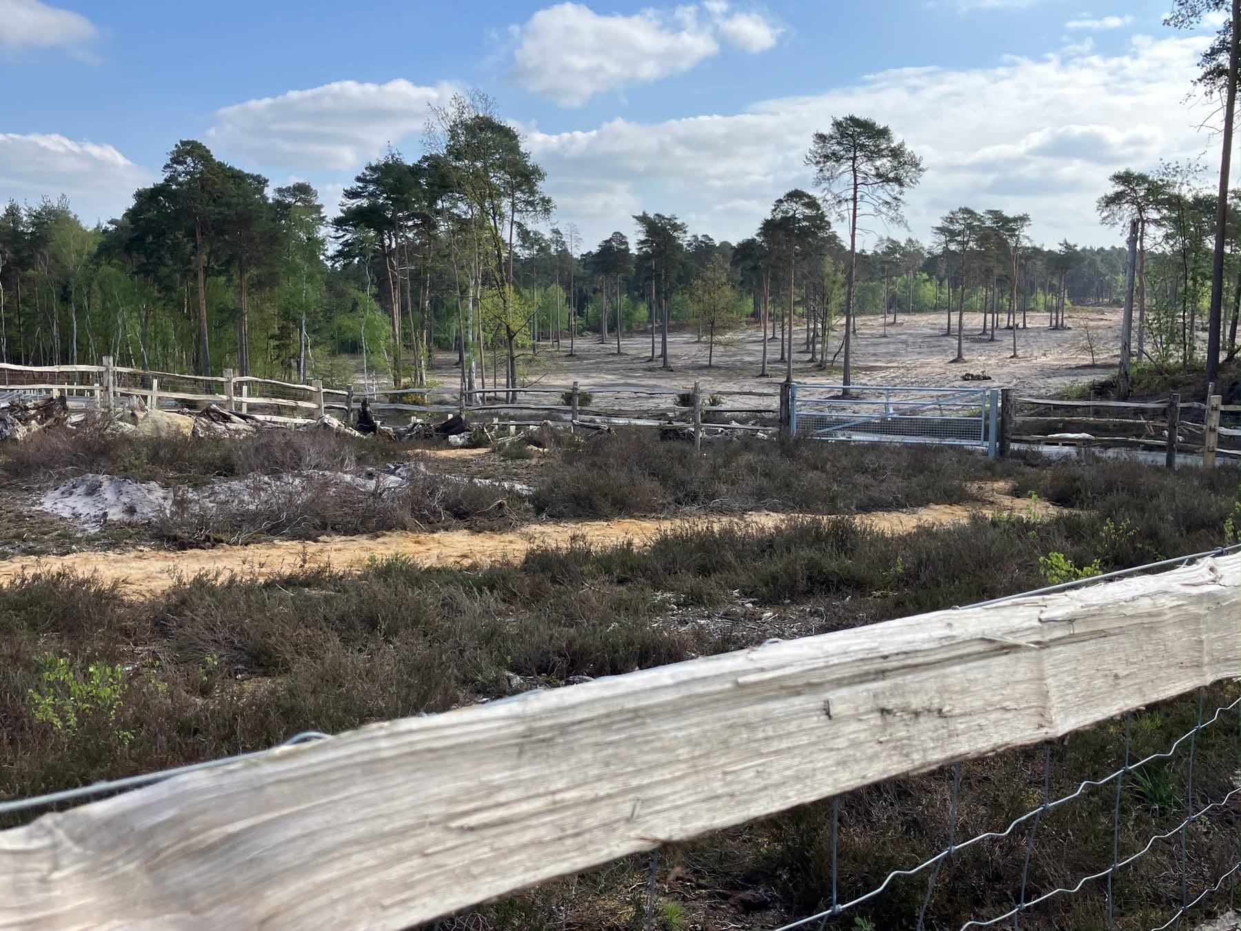Photo a heathland green bridge over a busy motorway, with sandy path and wooden fencing
